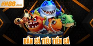 Bắn Cá Tiểu Tiên Cá