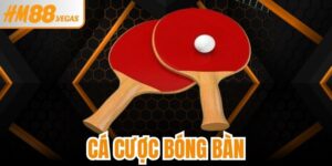 Cá Cược Bóng Bàn