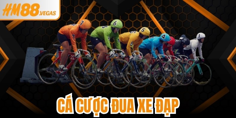 Cá Cược Đua Xe Đạp