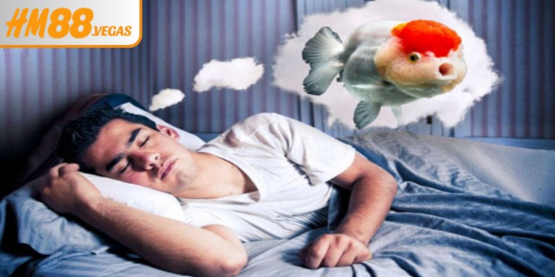 Cách vận dụng giấc mơ để chọn số hiệu quả