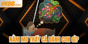Nằm Mơ Thấy Cá Đánh Con Gì