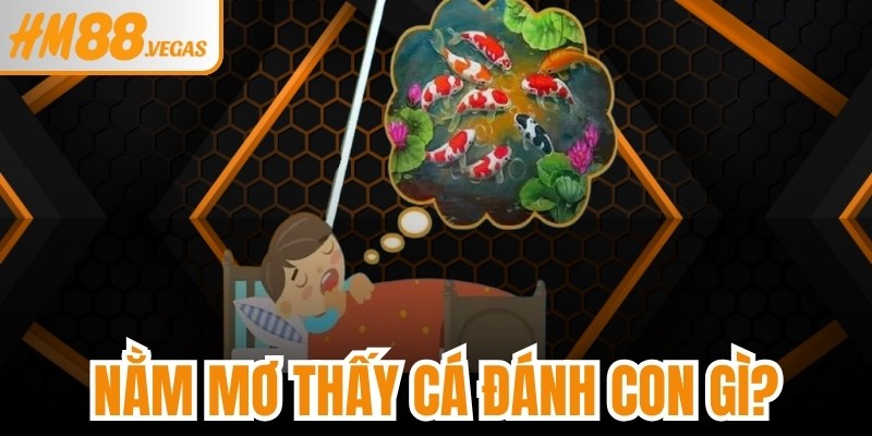 Nằm Mơ Thấy Cá Đánh Con Gì