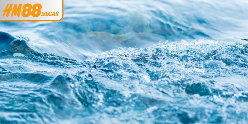 Bật mí ngay các con số may mắn khi chiêm bao thấy nước