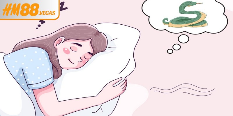 Giấc mơ thấy rắn chứa đựng rất nhiều tầng ý nghĩa khác nhau