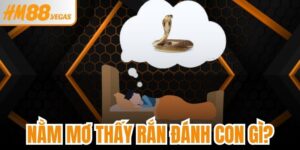 Nằm Mơ Thấy Rắn Đánh Con Gì