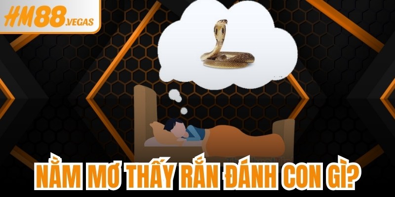 Nằm Mơ Thấy Rắn Đánh Con Gì